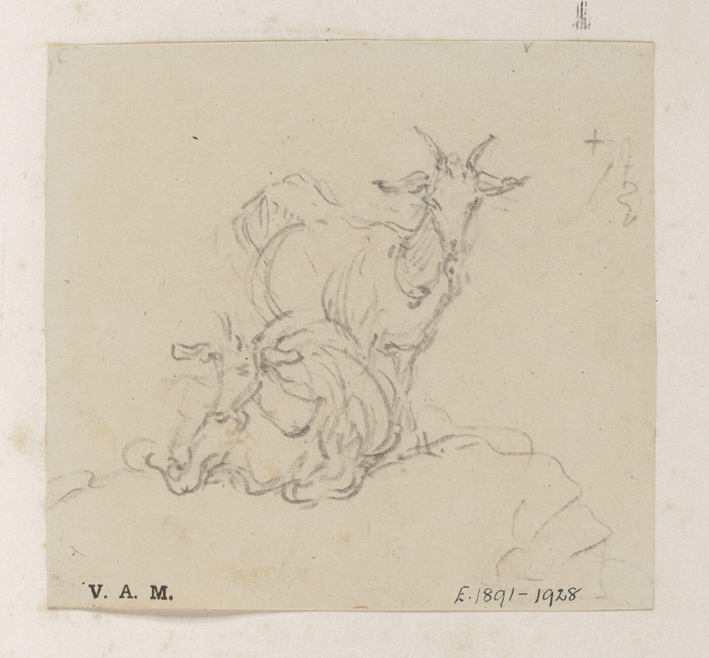 George Chinnery, Two goats