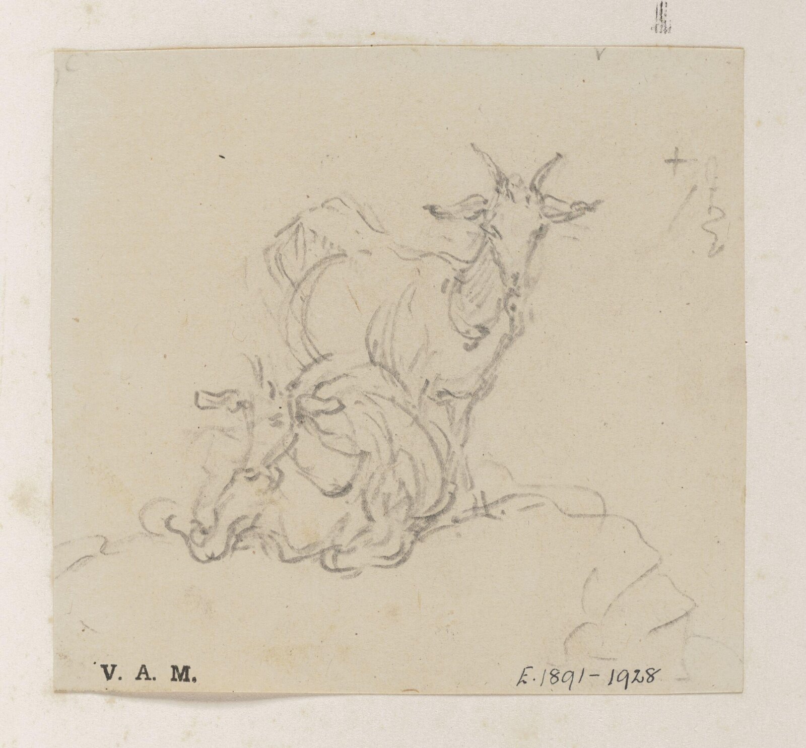 Two goats, George Chinnery, 29/09/1825 - 30/09/1851