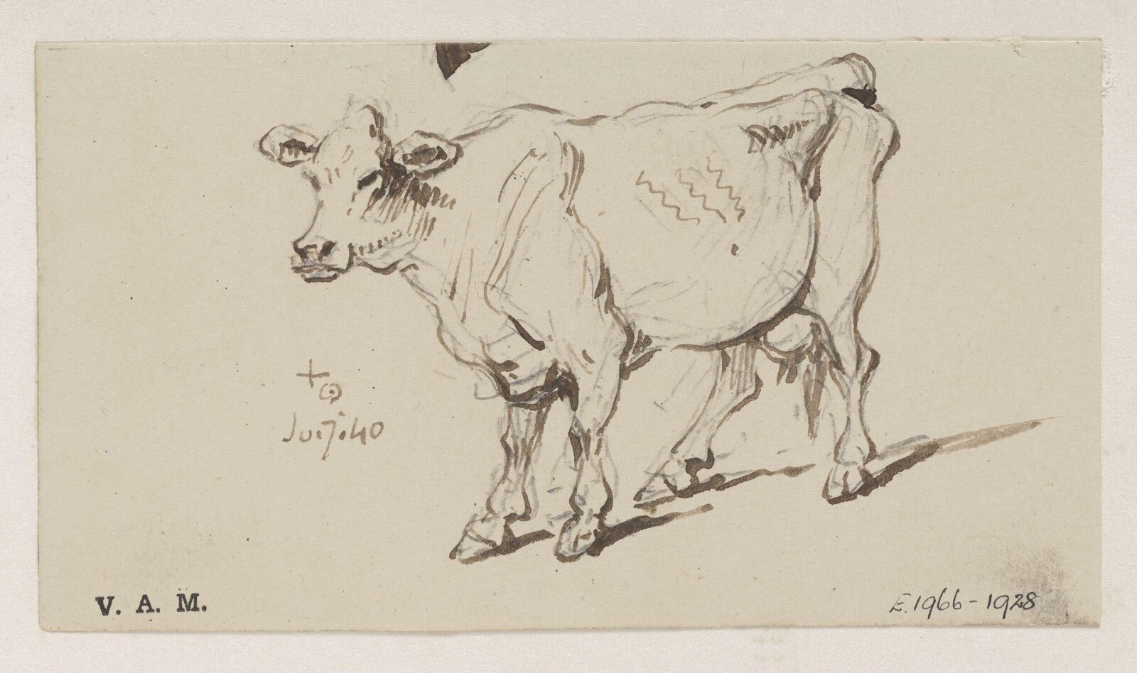 A standing cow, George Chinnery, 07/07/1840