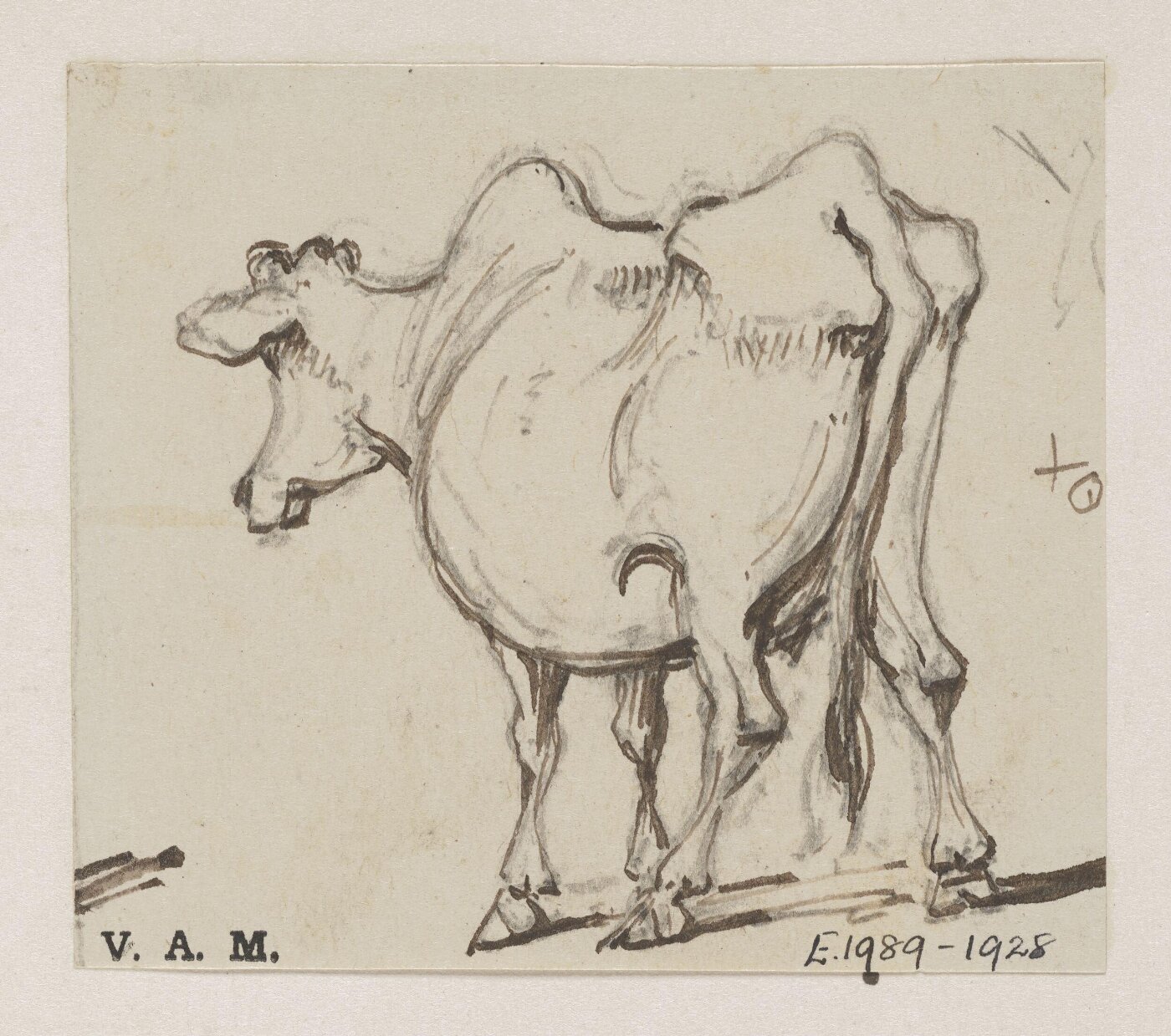 George Chinnery, A cow