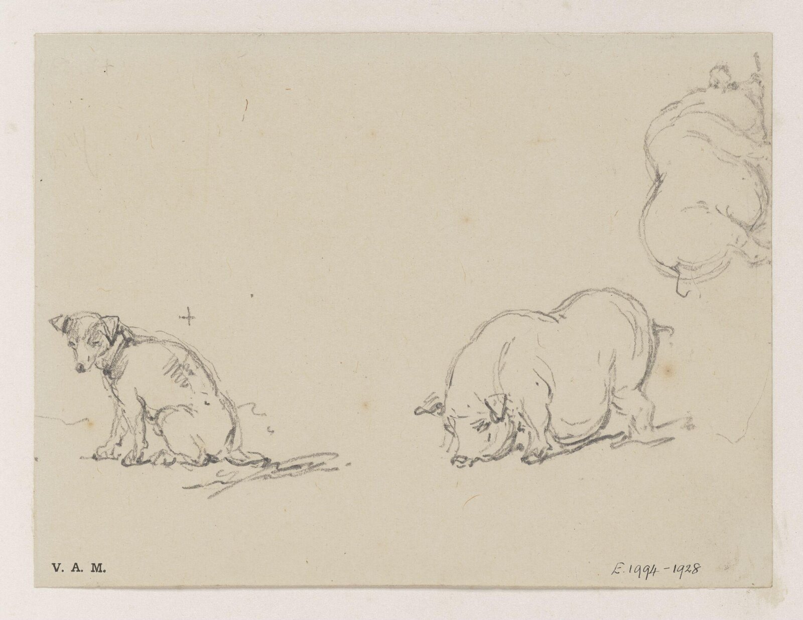 Pigs and a dog, George Chinnery, 29/09/1825 - 30/05/1852