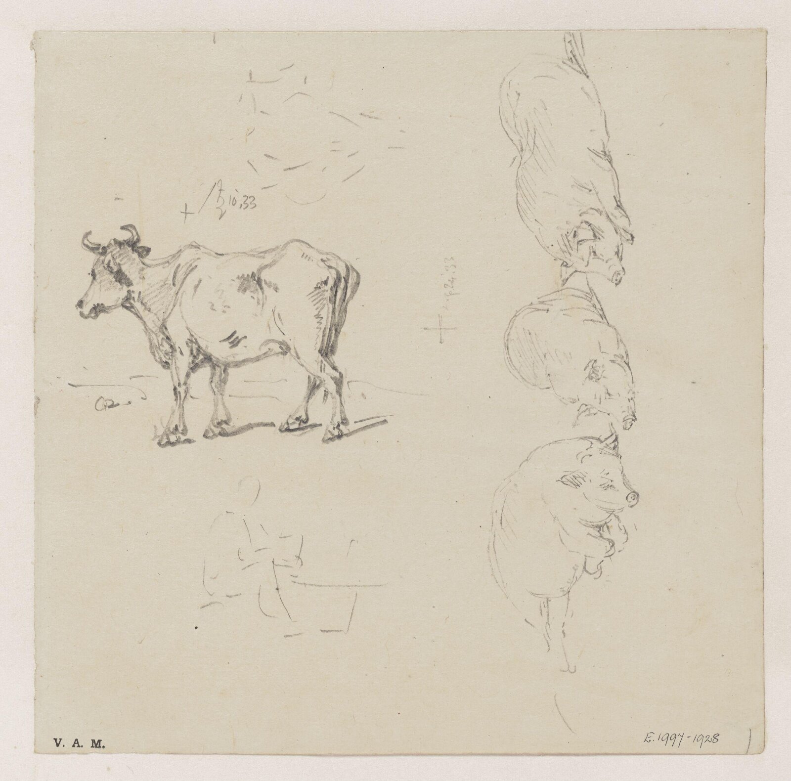 A cow and three pigs, George Chinnery, 24/08/1833 - 10/09/1833