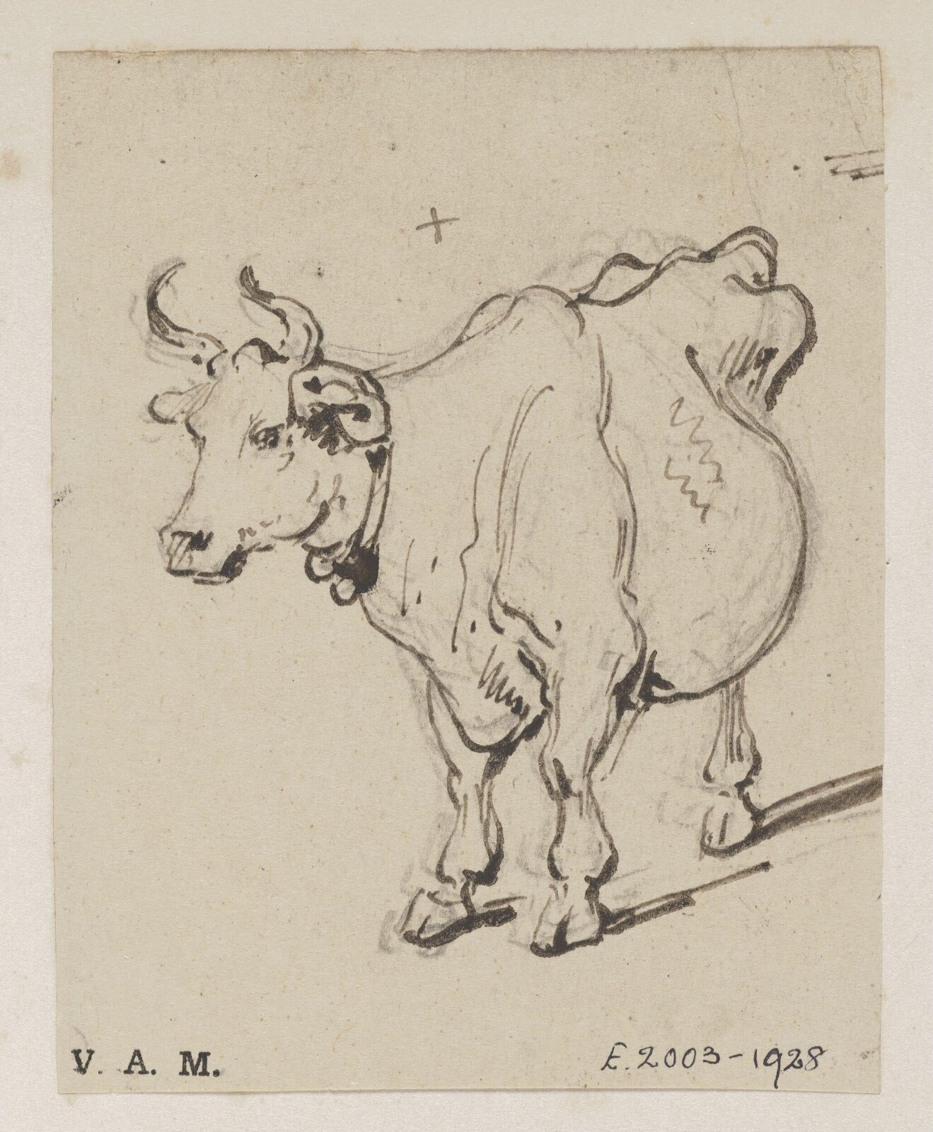 A cow, George Chinnery, 29/09/1825 - 30/05/1852