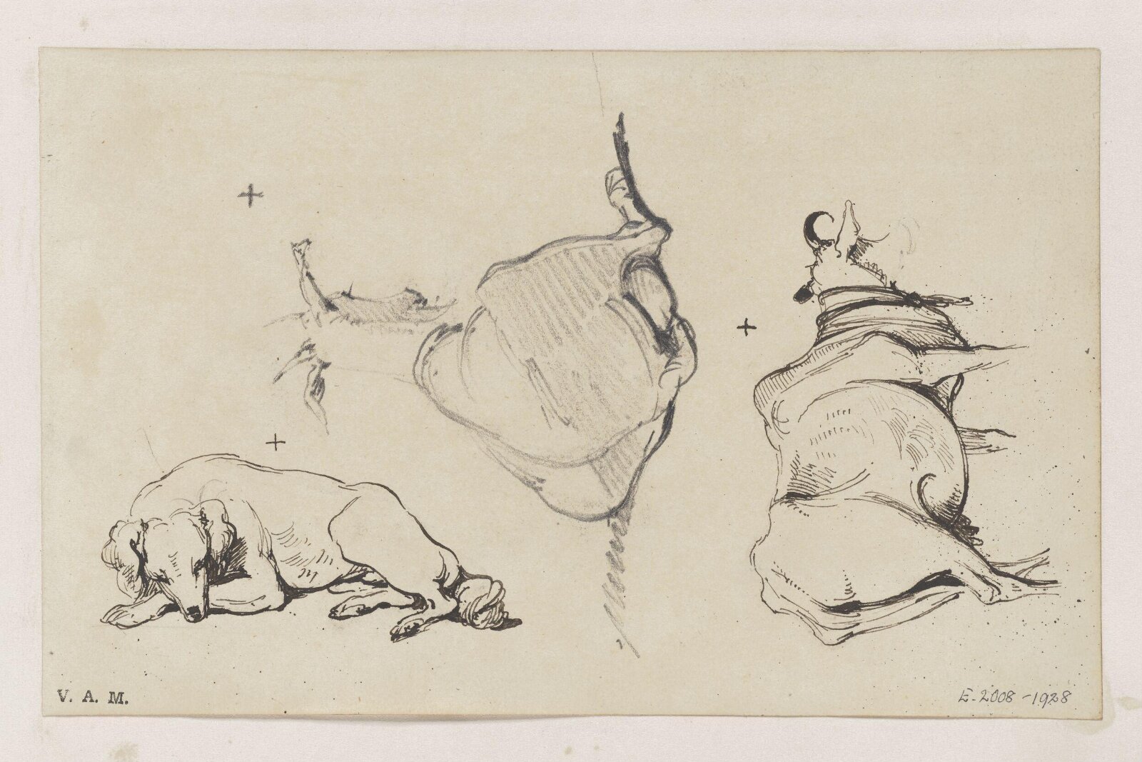 Animals, George Chinnery, 29/09/1825 - 30/05/1852
