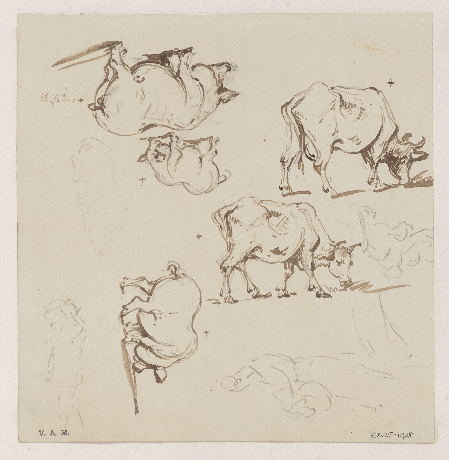 Pigs and cows, George Chinnery, 31/08/1833