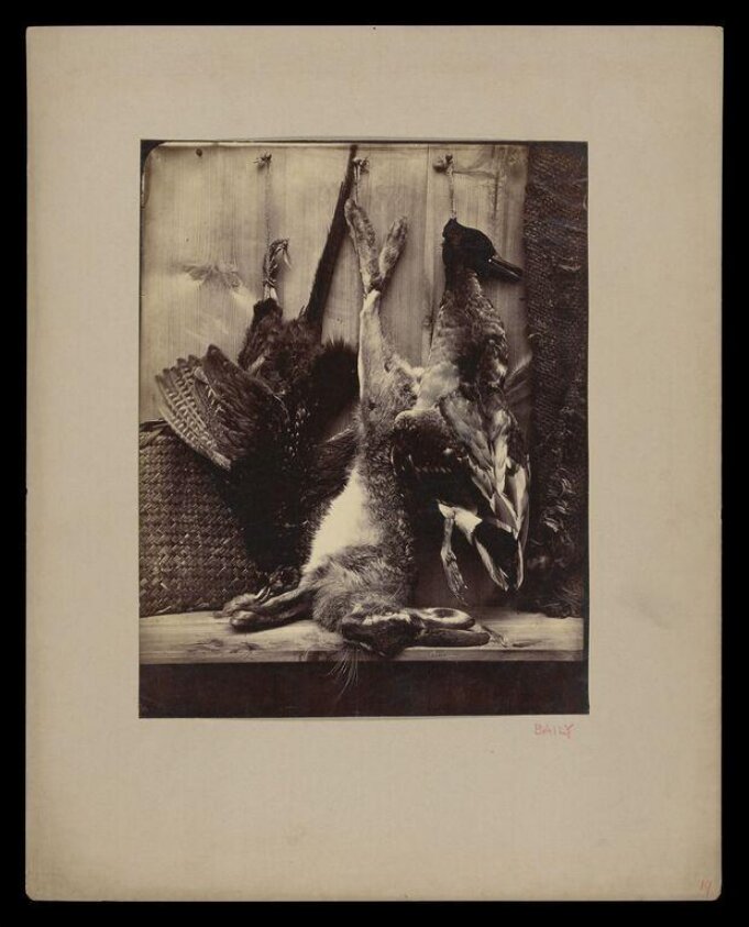 Still life