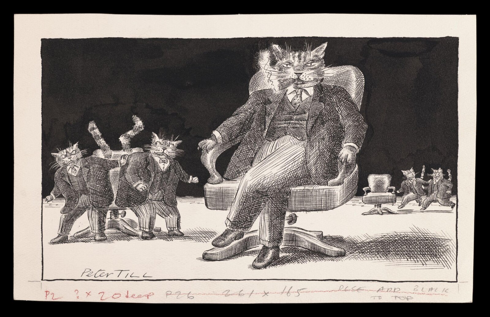 Fat Cats, Peter Till, 12 June 1994