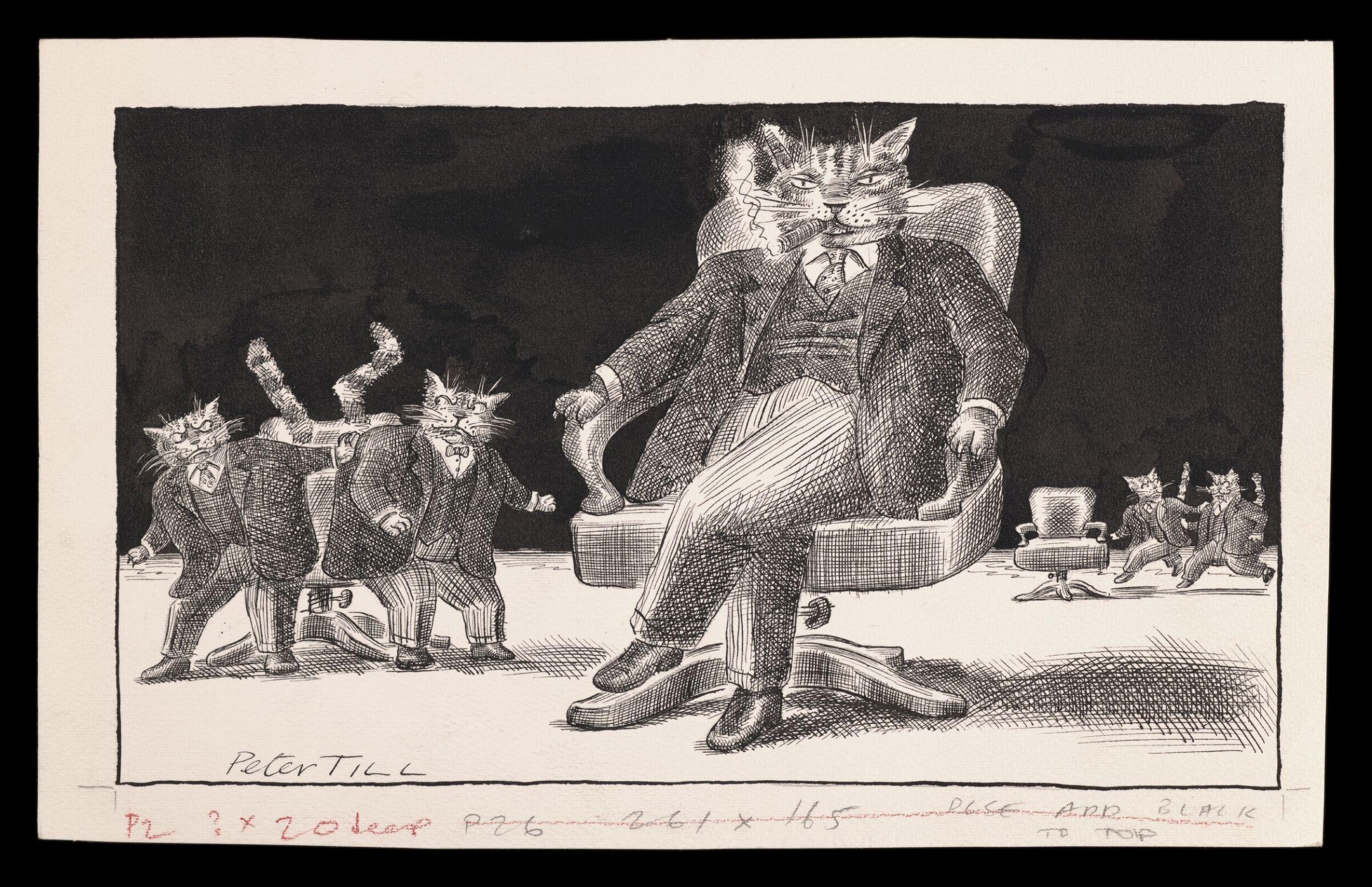 Fat Cats, Peter Till, 12 June 1994