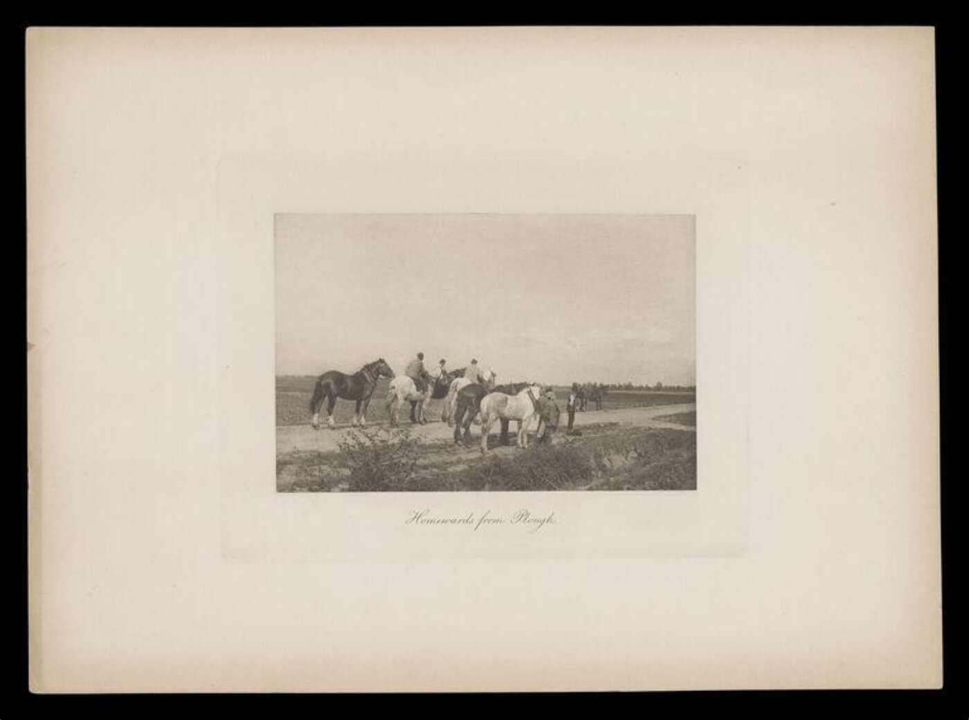 Gale, Lt. Col. Joseph, Homewards from Plough