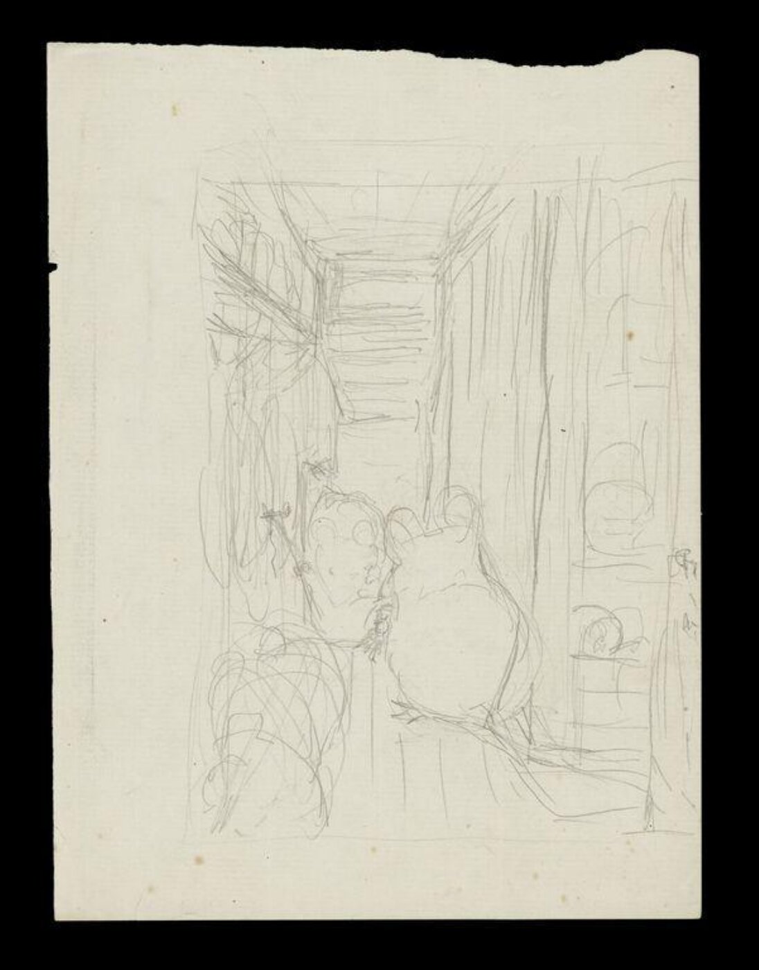 Potter, Beatrix, drawing
