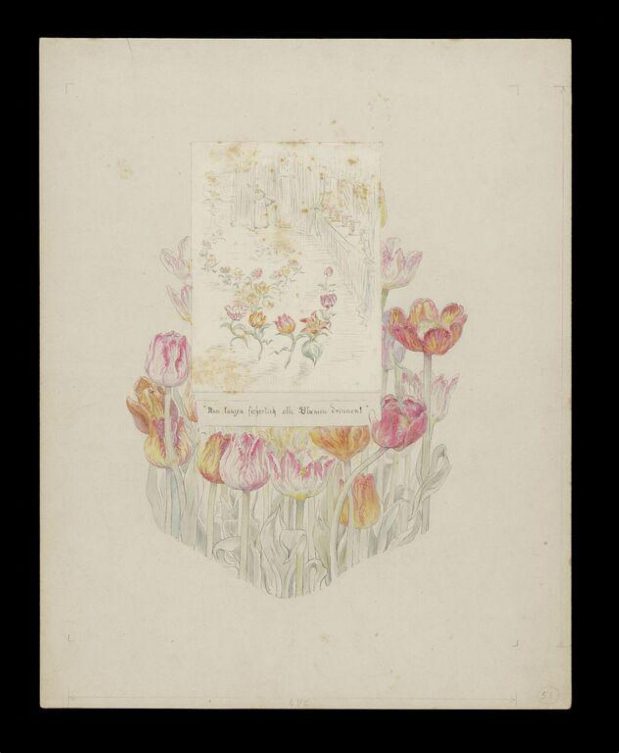 Illustration to 'Little Ida's Flowers', Beatrix Potter, ca.1890s