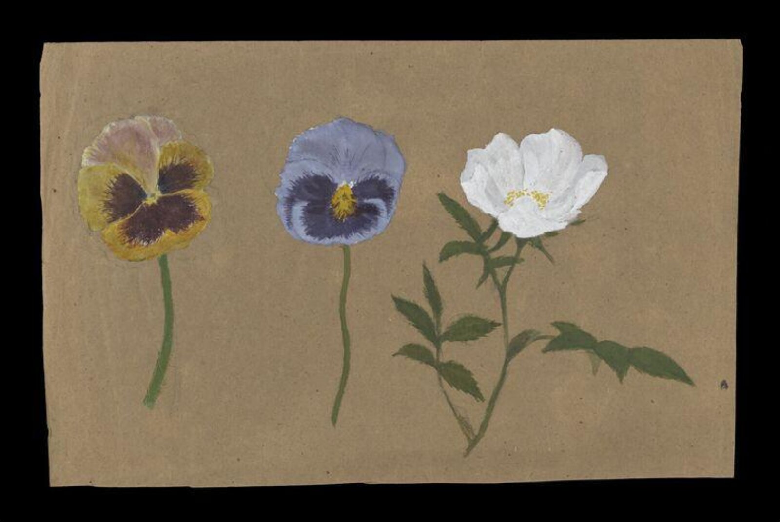 Watercolour, Beatrix Potter, ca.1880