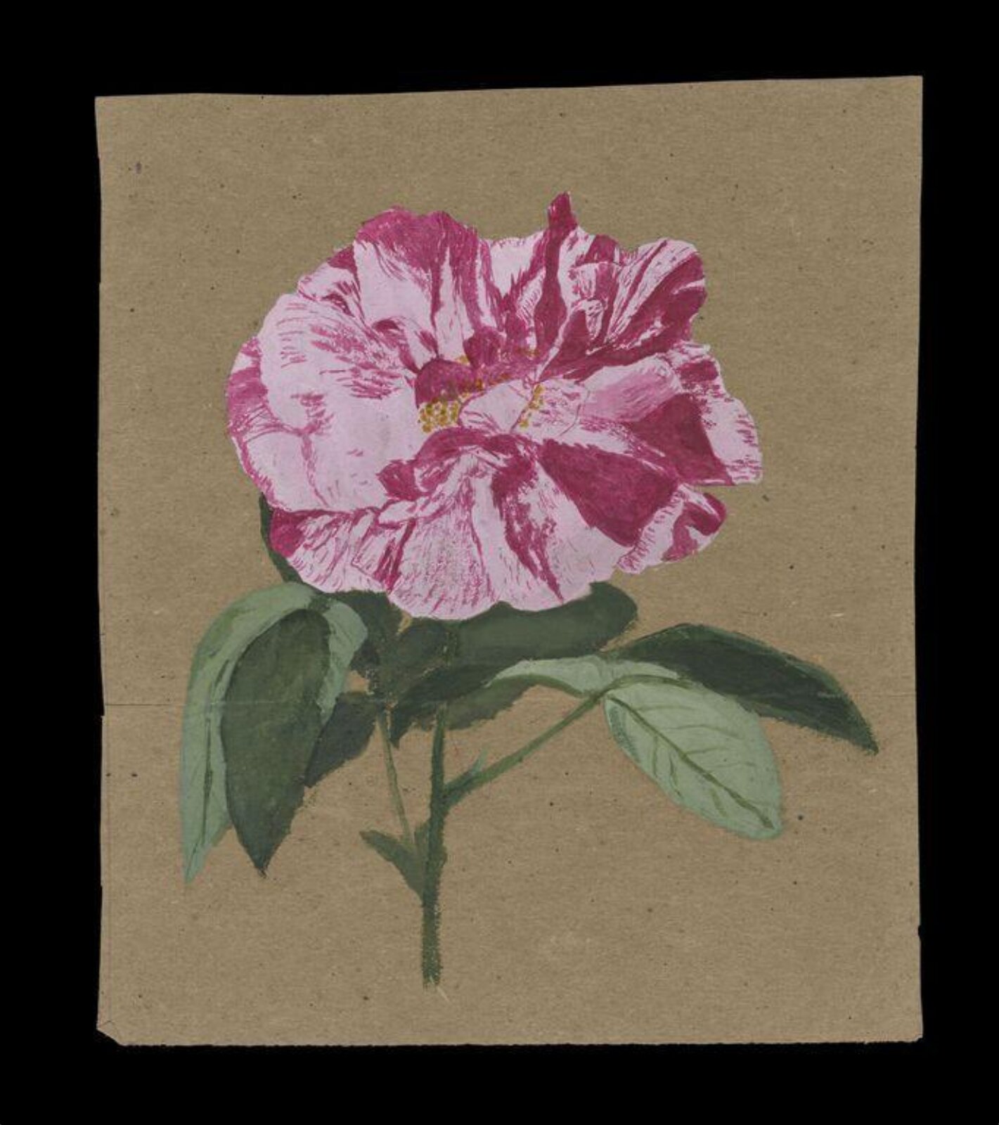 Watercolour, Beatrix Potter, ca.1876