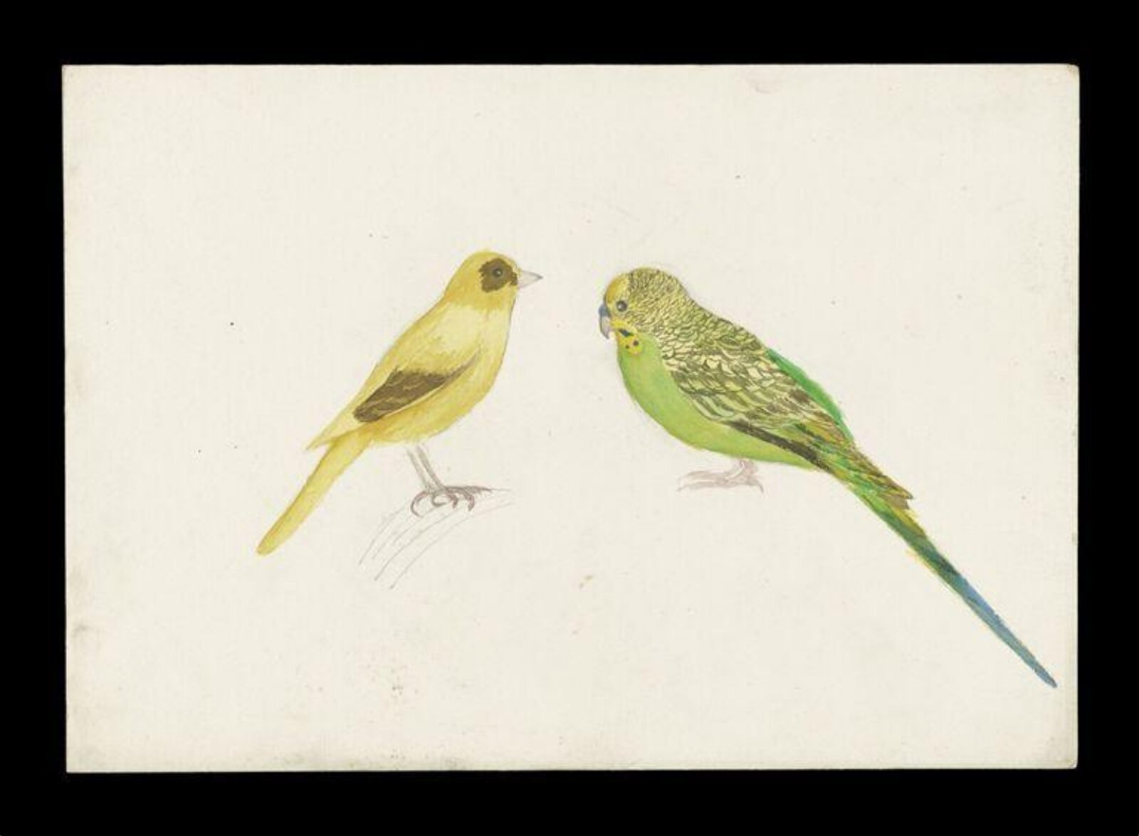 Watercolour, Beatrix Potter, ca. 1880