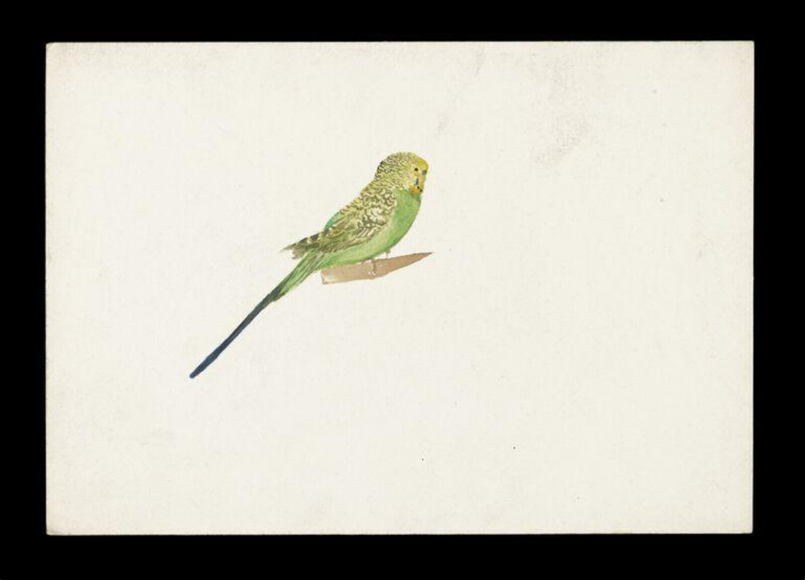 Watercolour, Beatrix Potter, ca.1880