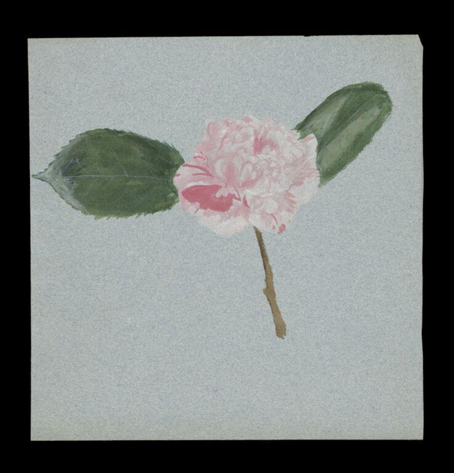 Watercolour, Beatrix Potter, ca.1880