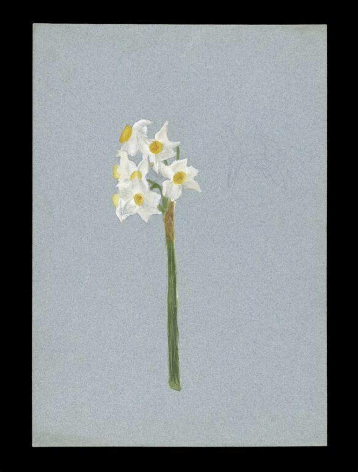 Watercolour, Beatrix Potter, ca.1880