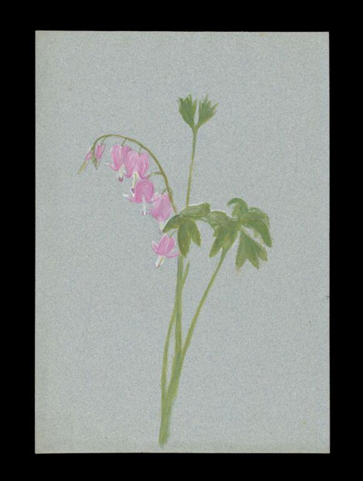 Watercolour, Beatrix Potter, ca.1880