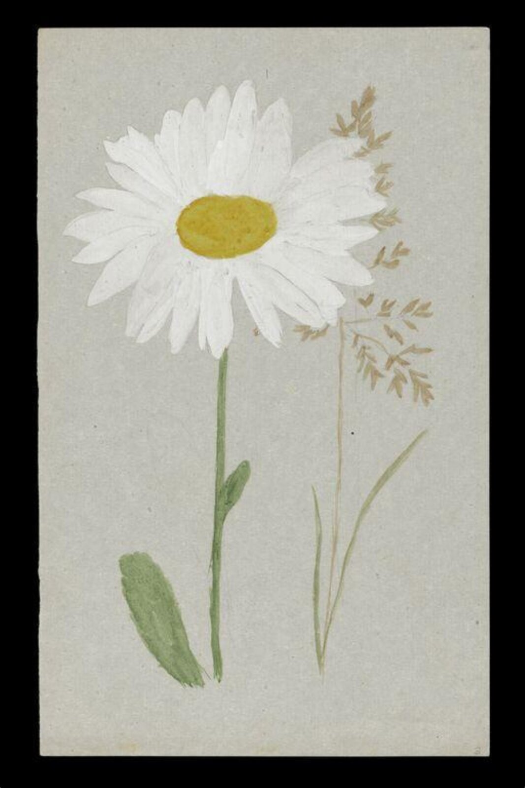 Watercolour, Beatrix Potter, 5/7/1877