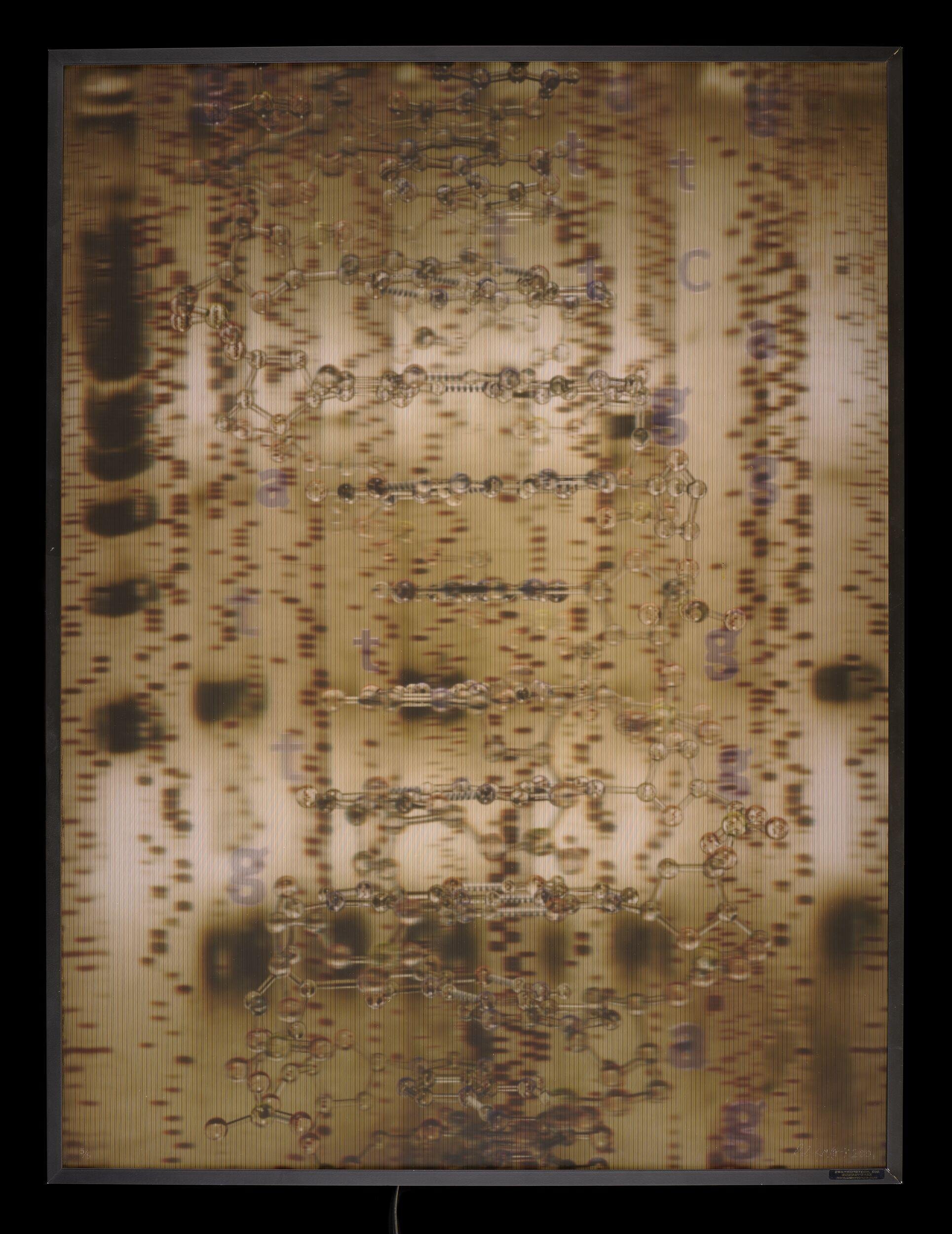 Cryptobiology: Reconstructing Identity 