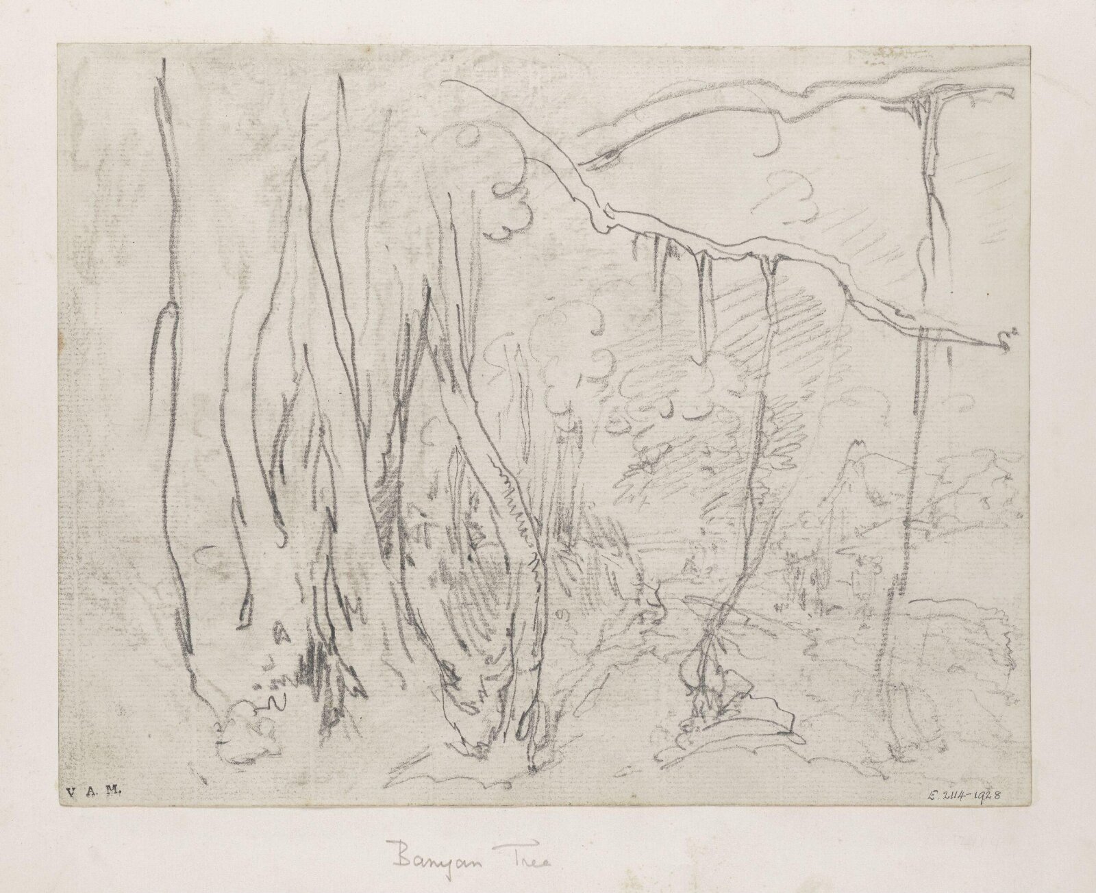 A banyan tree, George Chinnery, 21/12/1802 - 13/07/1825