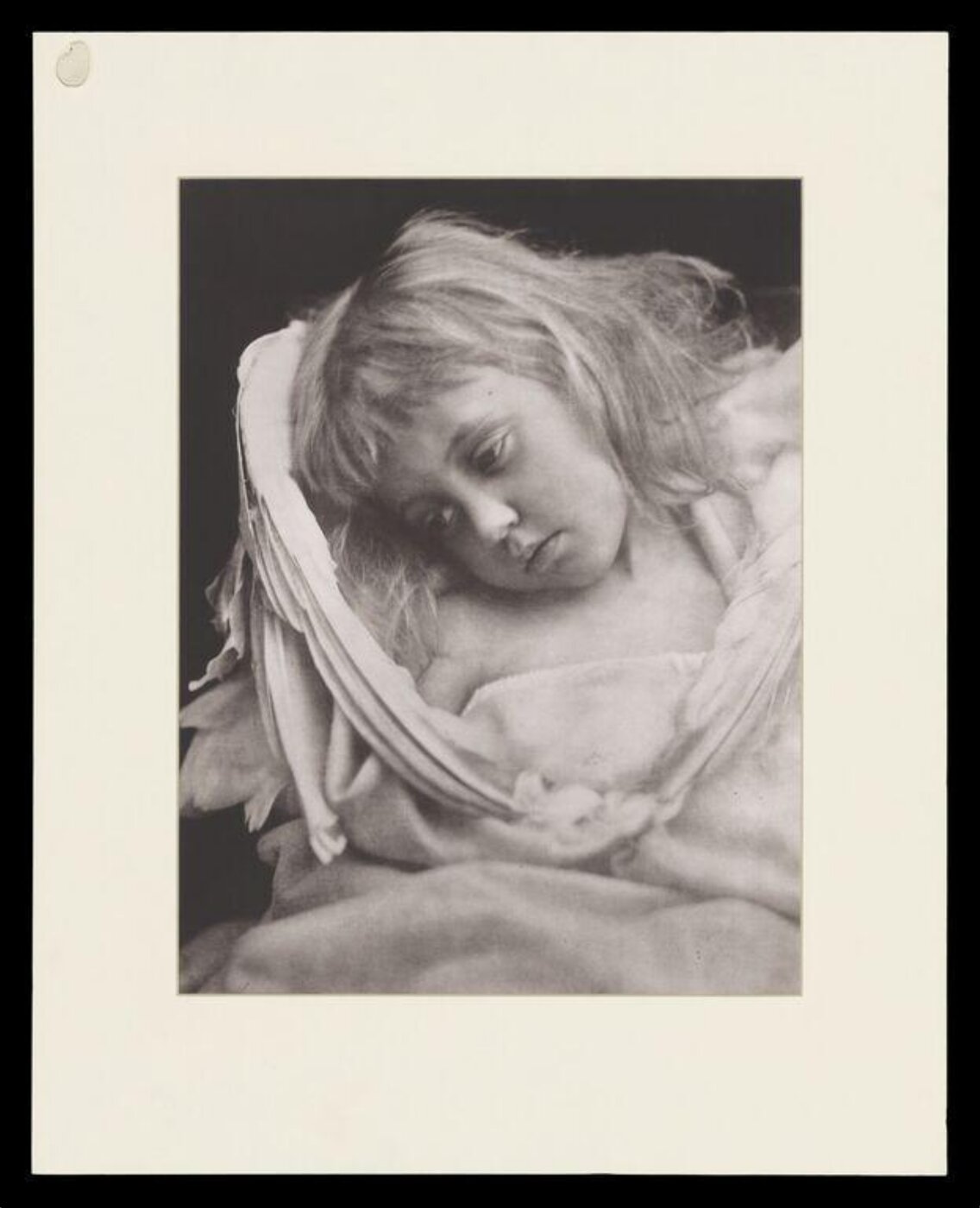 Cameron, Julia Margaret, Cupid