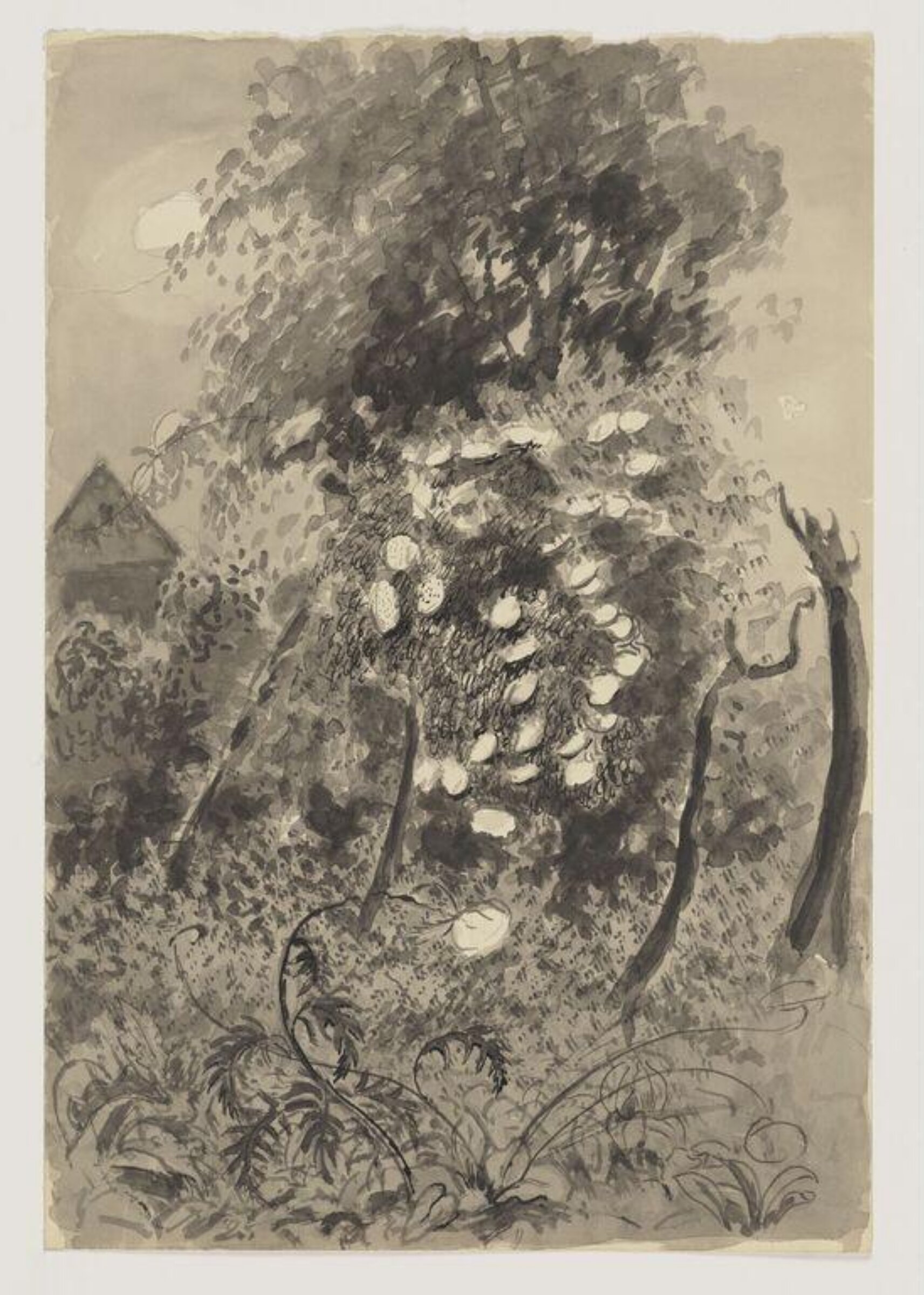 Moonlight on elderflower, the garden, Shoreham, Franklin White, 1960