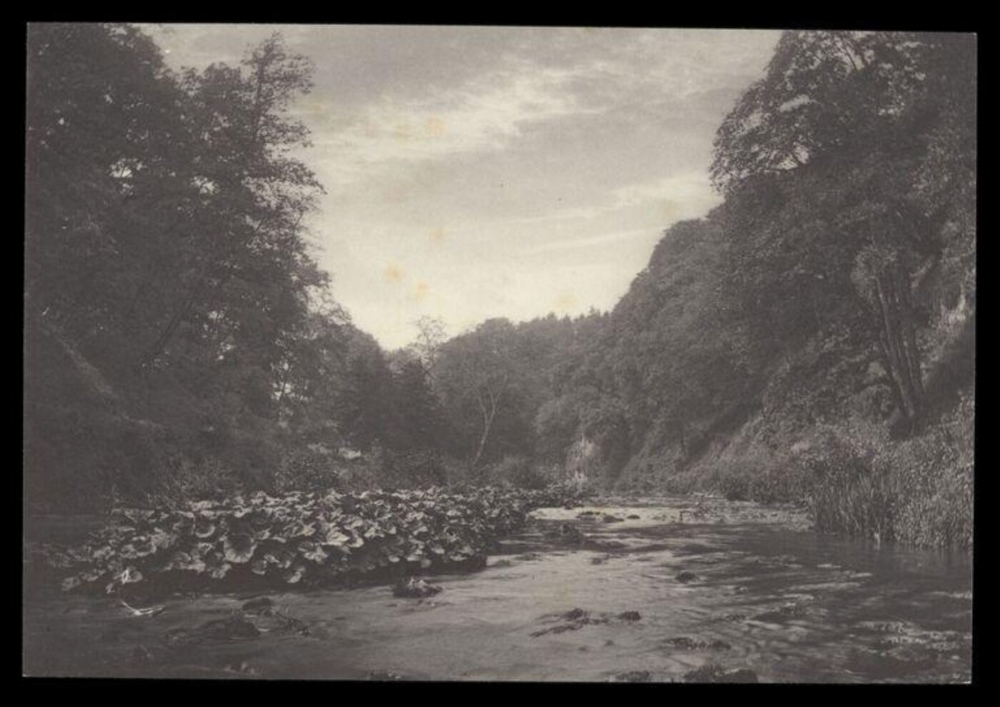 Gale, Lt. Col. Joseph, Stream