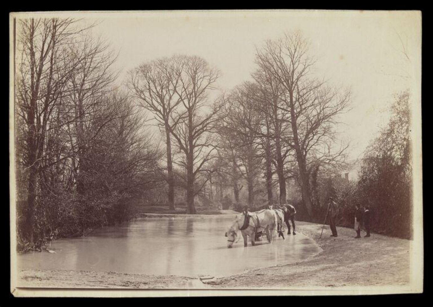 Gale, Lt. Col. Joseph, Horses Stopping for a Drink