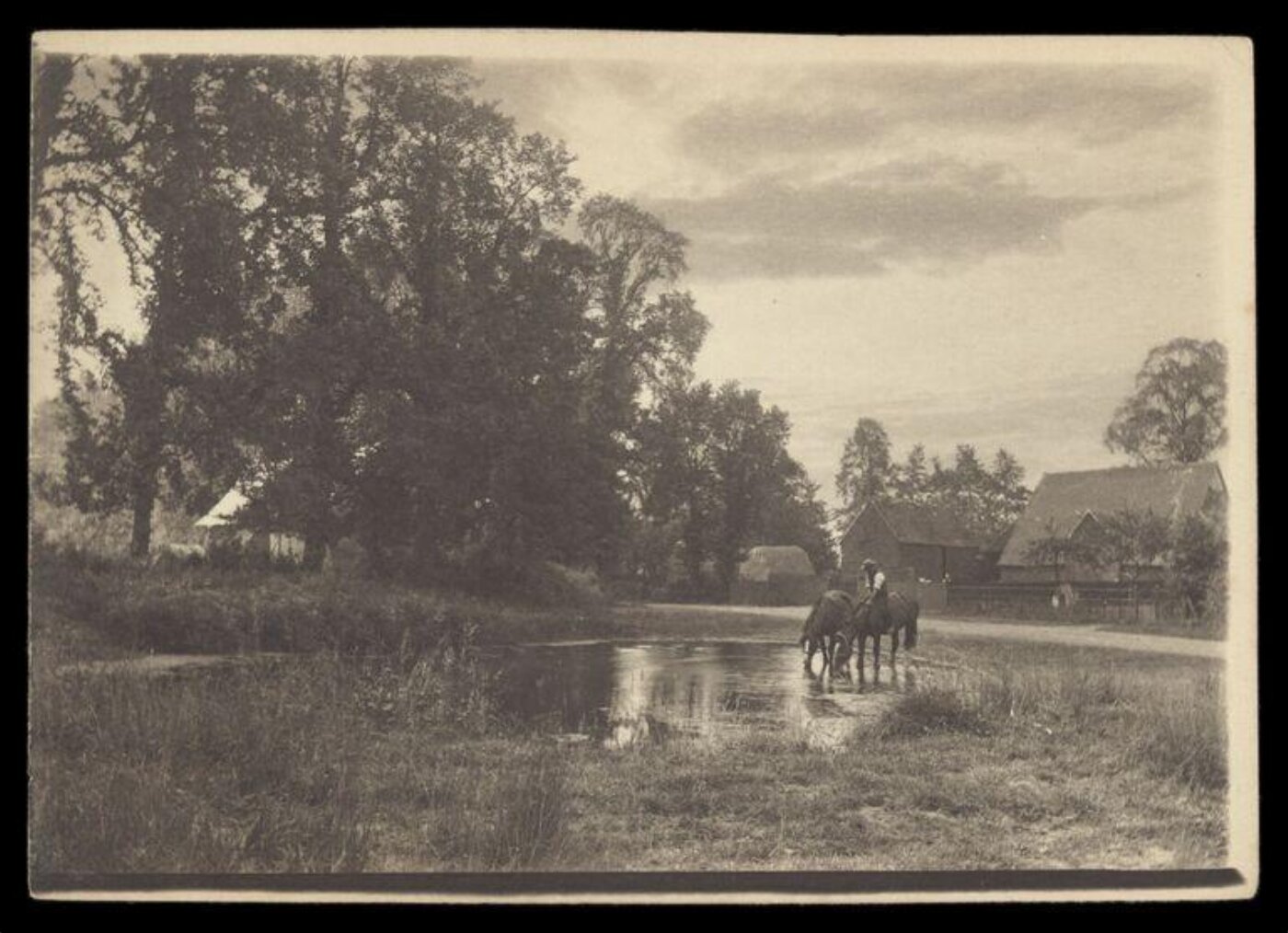 Gale, Lt. Col. Joseph, Horses drinking from a pond