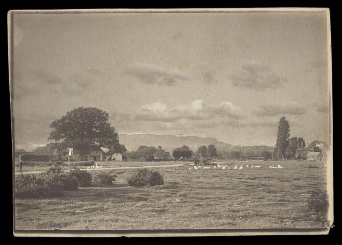 Gale, Lt. Col. Joseph, Sheep in a landscape with cottages