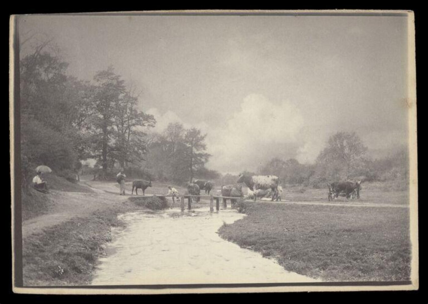 Gale, Lt. Col. Joseph, Cows by a stream