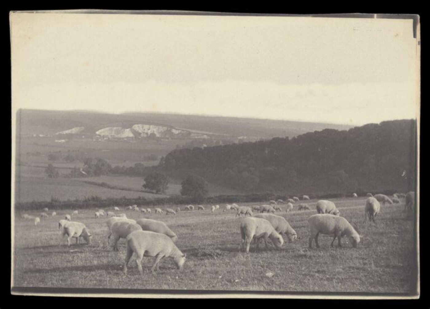 Gale, Lt. Col. Joseph, Flock of sheep in a landscape