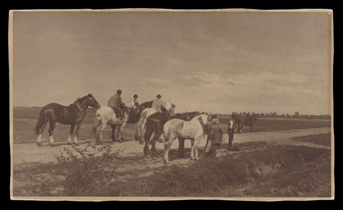 Gale, Lt. Col. Joseph, Homewards from plough