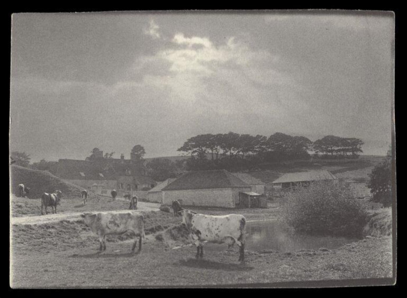 Gale, Lt. Col. Joseph, Landscape