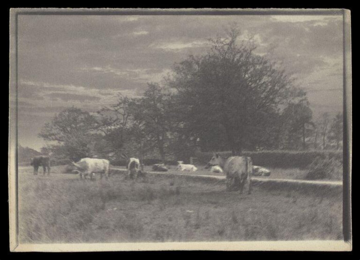 Gale, Lt. Col. Joseph, Landscape