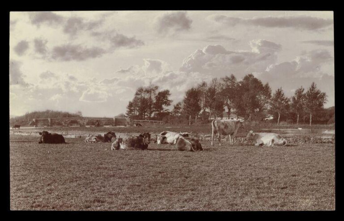 Gale, Lt. Col. Joseph, Landscape