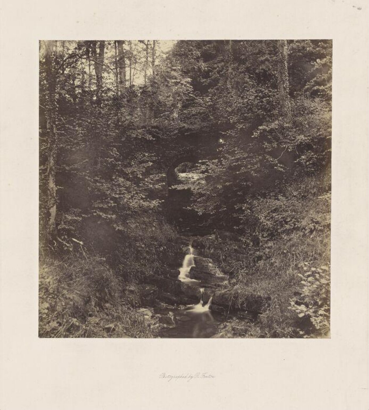 Fenton, Roger, Waterfall in Wood