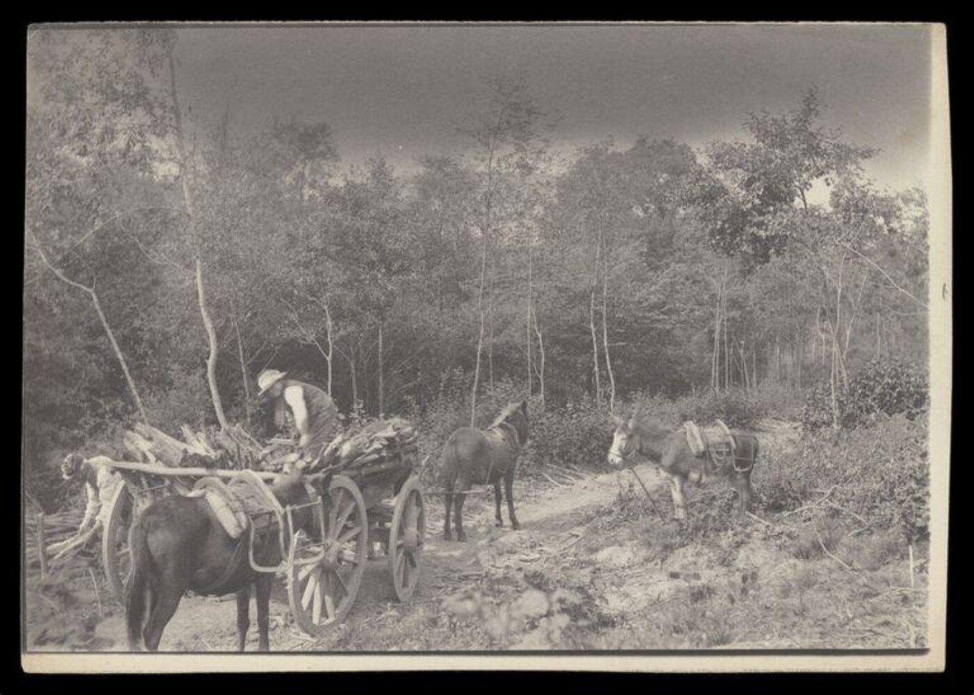 Gale, Lt. Col. Joseph, Rural Life