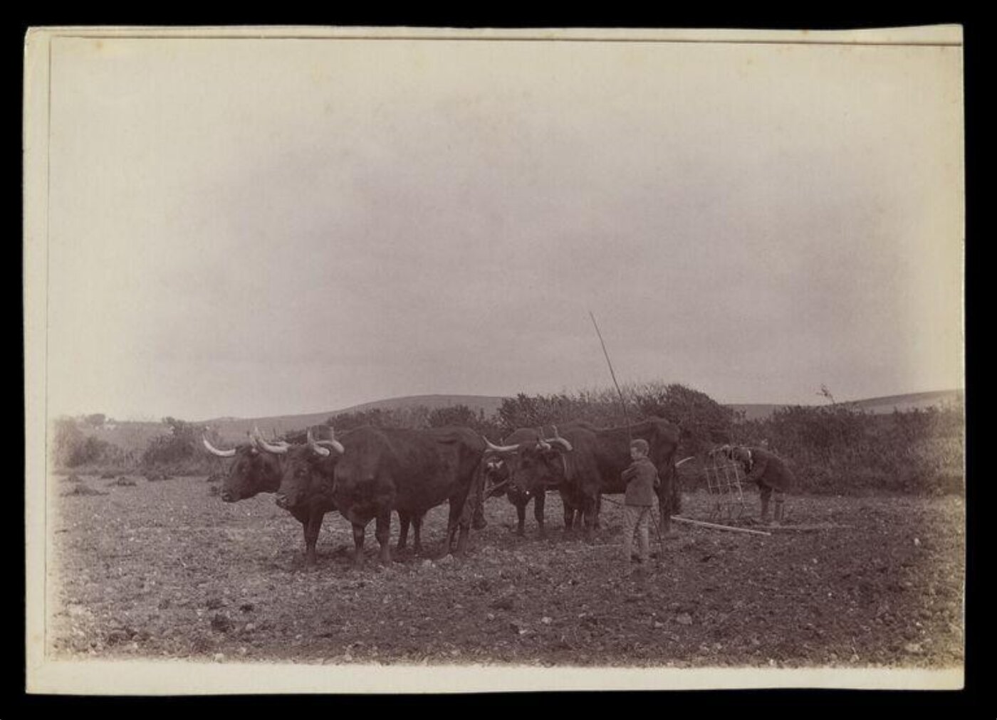Gale, Lt. Col. Joseph, Rural Life