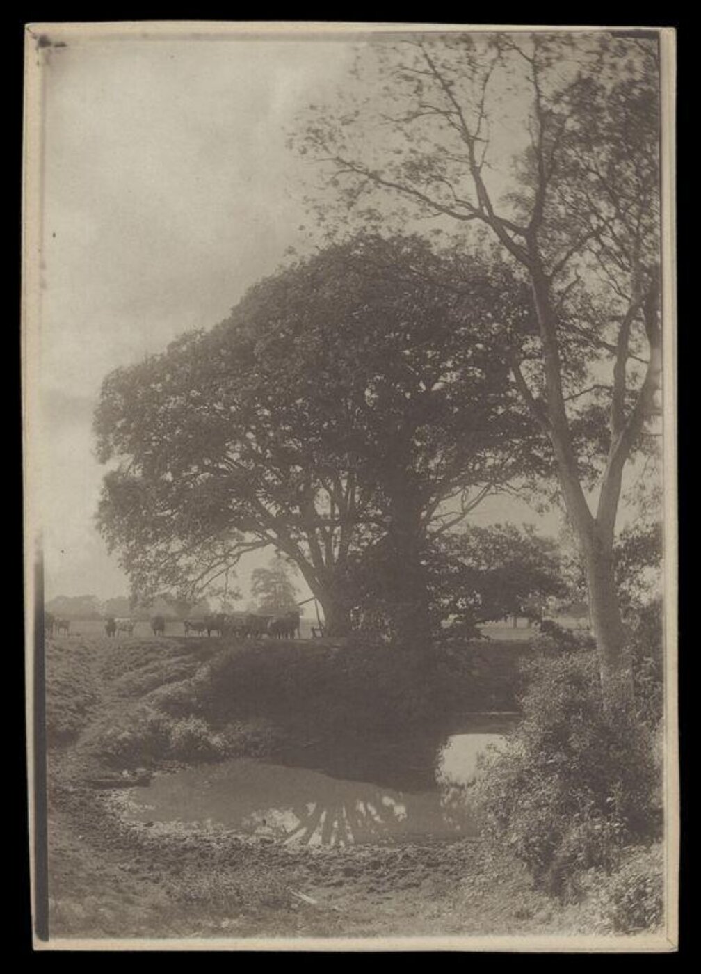 Gale, Lt. Col. Joseph, Rural Life