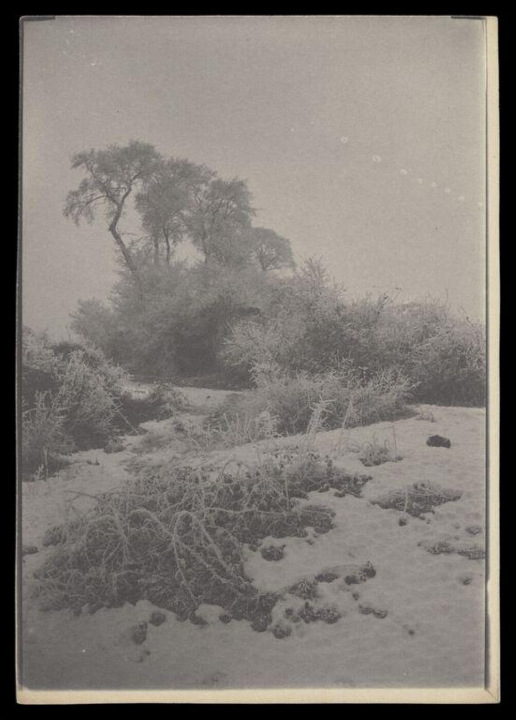 Gale, Lt. Col. Joseph, Rural Life
