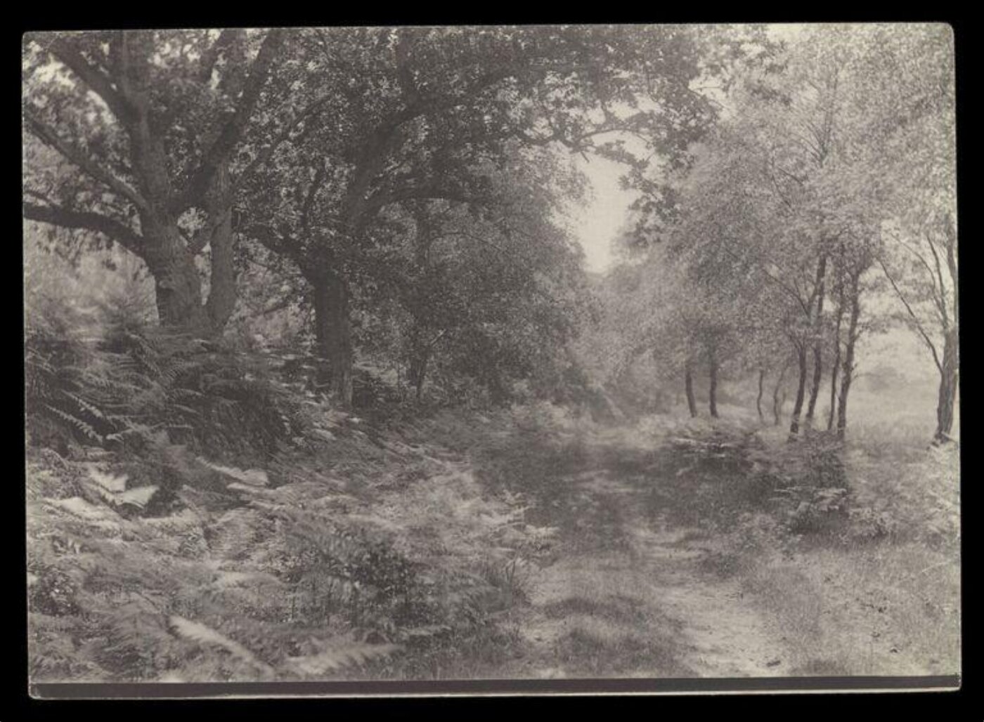Gale, Lt. Col. Joseph, Rural Life