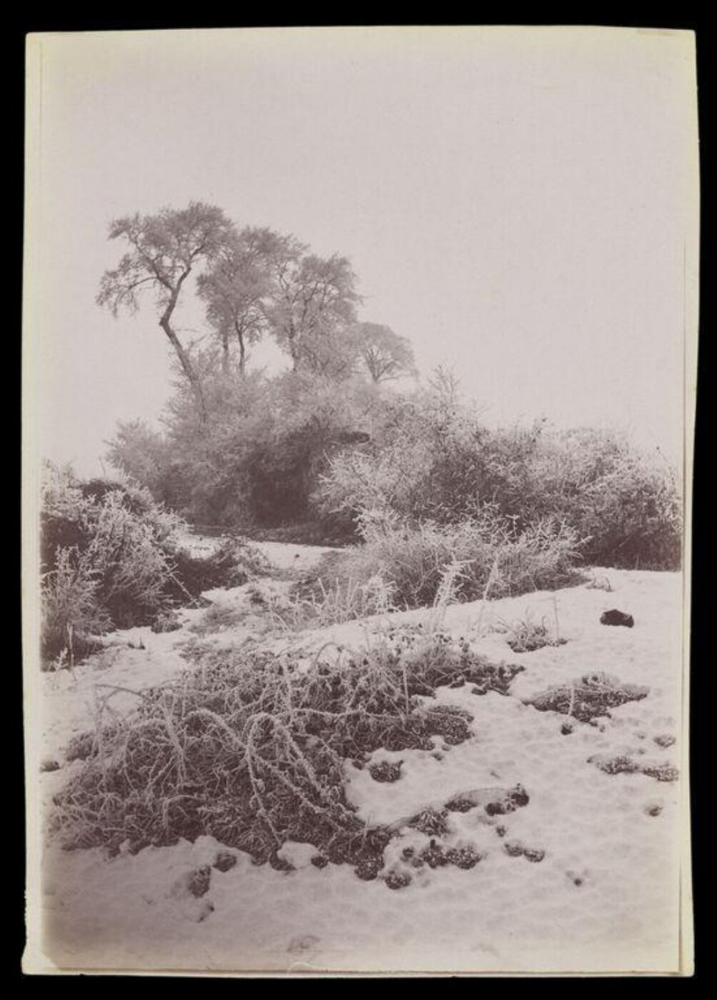 Gale, Lt. Col. Joseph, Rural Life