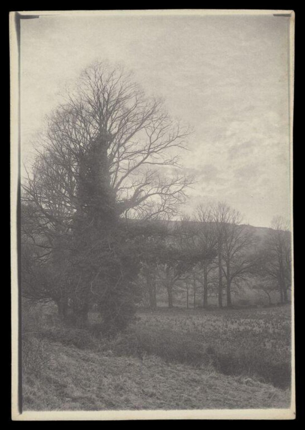 Gale, Lt. Col. Joseph, Rural Life