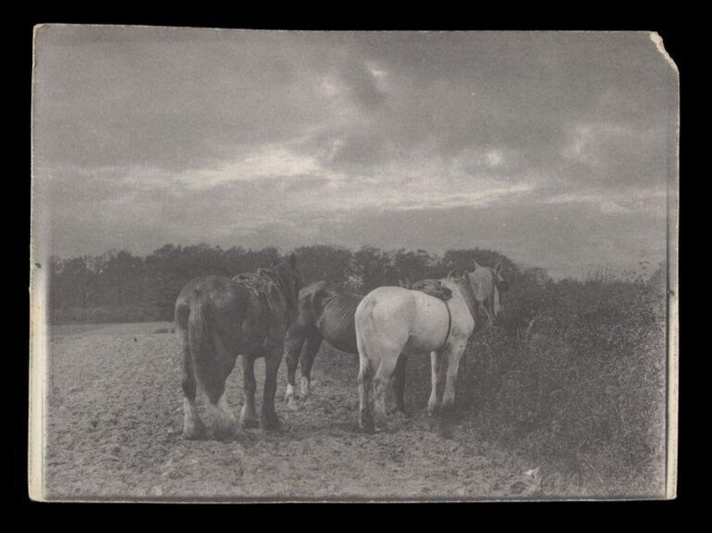 Gale, Lt. Col. Joseph, Rural Life