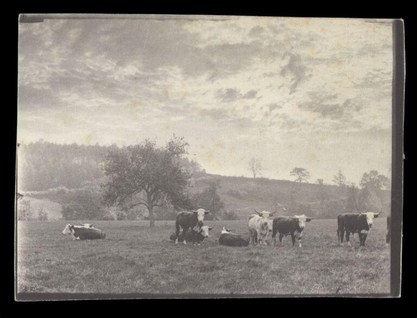 Gale, Lt. Col. Joseph, Rural Life