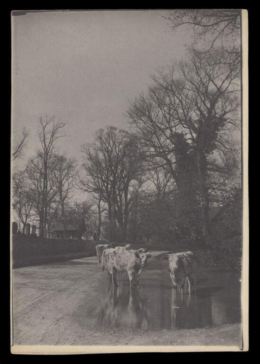 Gale, Lt. Col. Joseph, Rural Life