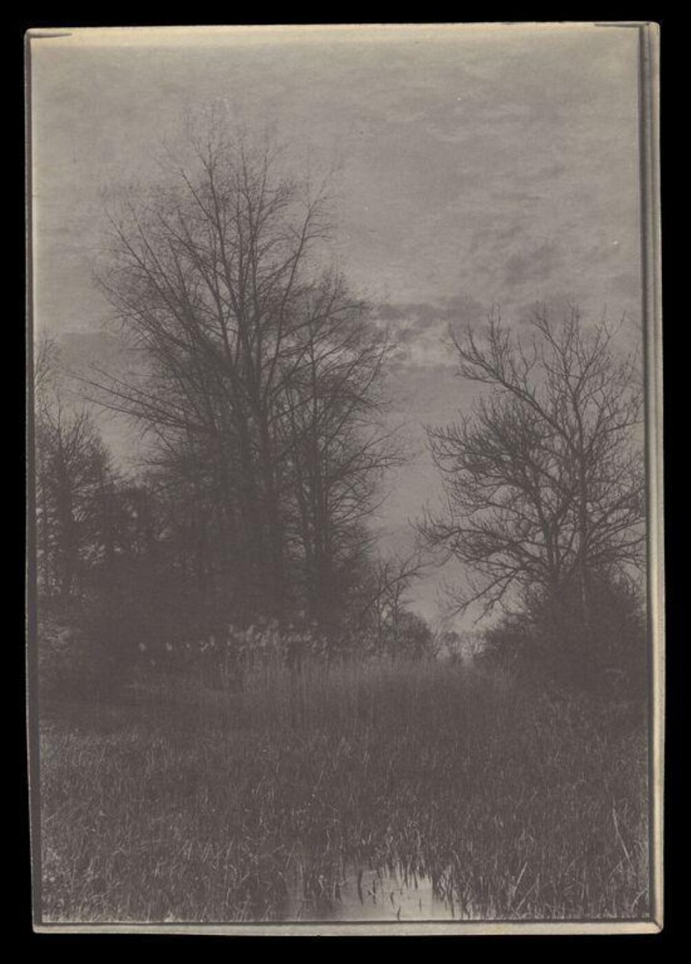 Gale, Lt. Col. Joseph, Landscape