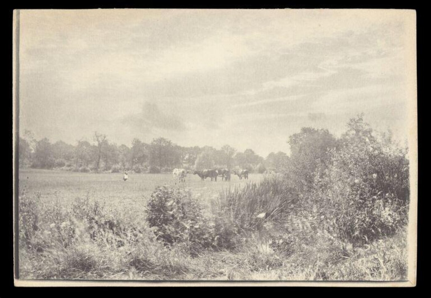 Gale, Lt. Col. Joseph, Rural Life